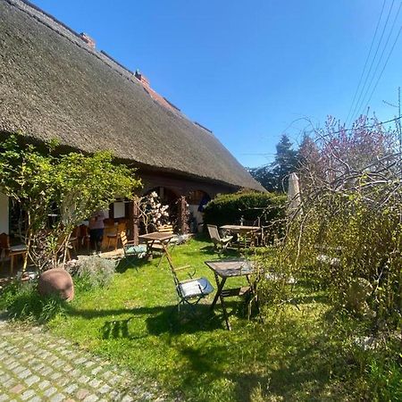 Fischerhaus Galenbeck Bed & Breakfast Dış mekan fotoğraf