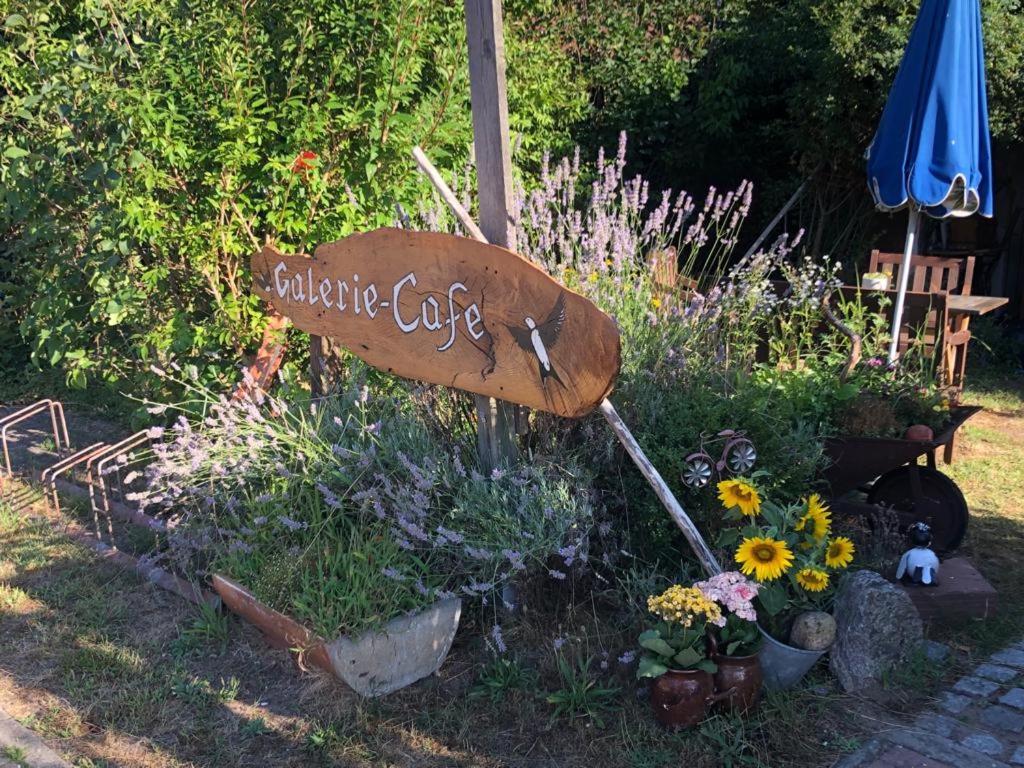 Fischerhaus Galenbeck Bed & Breakfast Dış mekan fotoğraf